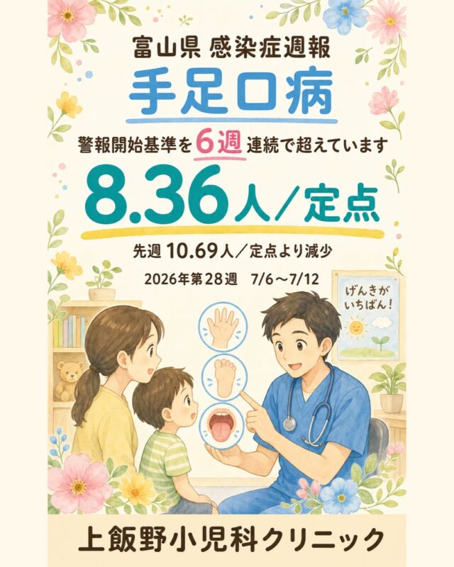 こんにちは！上飯野小児科クリニックです🌿

富山県の第28週は、手足口病が8.36人／定点。 
先週より減少しましたが、警報開始基準を超える状況が6週続いています。

手足や口の中に水ぶくれをともなう発しんが出ることがあり、富山県では2歳以下のお子さんが中心です。多くは数日でよくなりますが、口が痛くて飲めないときもあります。

おむつ交換やトイレの後、食事・調理の前には、石けんと流水でしっかり手洗いを🫧 
タオルの共用も避けてみてくださいね。

水分がとれない、おしっこが少ない、ぐったりしている、高い熱やくり返すおう吐、けいれんなどが気になるときは、早めに医療機関へご相談ください。 
心配な時はいつでもご相談ください。一緒に乗り越えましょう🍀

📊 データ出典：富山県感染症発生動向速報 第28週（富山県感染症情報センター）

Hello from Kamiino Pediatric Clinic! 🌿

In Toyama Prefecture, hand, foot and mouth disease was reported at 8.36 cases per sentinel site  in Week 28. 
The number is lower than last week, but it has remained above the alert-start threshold for six consecutive weeks.

It may cause small blisters and rashes in the mouth, on the hands, and on the feet. In Toyama, children aged two years and younger are most commonly affected. Most children get better within several days, though a sore mouth can make drinking difficult.

Please wash hands carefully with soap and running water after diaper changes or using the toilet, and before meals or food preparation 🫧 
Avoid sharing towels when possible.

If your child cannot drink, is urinating less, seems unusually tired, has a high fever or repeated vomiting, or has a seizure, please contact a medical professional promptly. 
Please feel free to consult us whenever you are worried. We are here to get through this together 🍀

📊 Data source: Toyama Prefecture Infectious Disease Surveillance Report, Week 28 (Toyama Prefecture Infectious Disease Information Center)

#富山県感染症週報 #富山ママ #富山パパ #富山小児科 #上飯野小児科クリニック #手足口病 #富山市小児科 #富山市ママ #富山市パパ #子どもの健康 #夏の感染症 #手洗い習慣